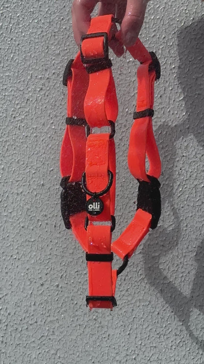 Olli Adventure Set - All Gear - Neon Orange