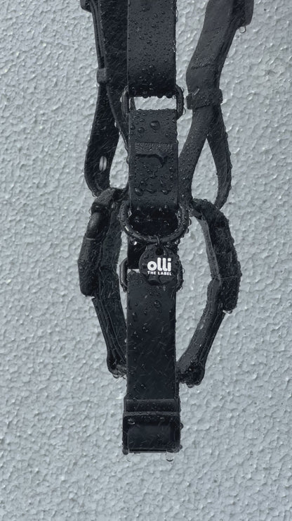 Olli Adventure Set - All Gear - Neutral Black