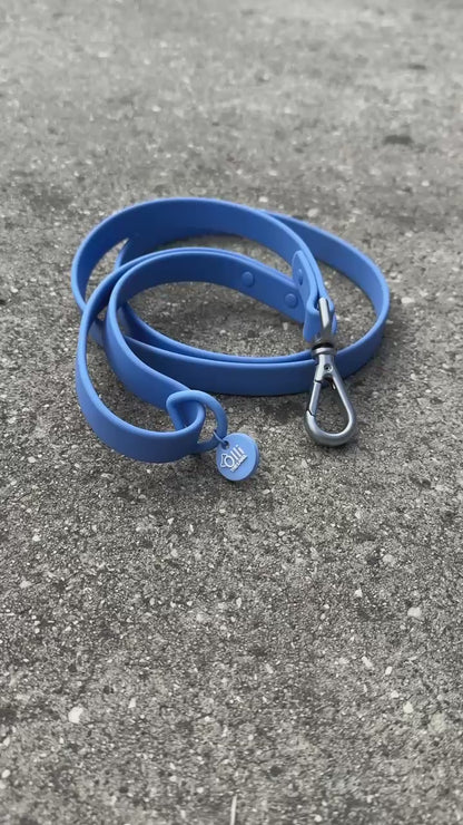 Waterproof Dog Lead and Collar Set – Periwinkle Purple