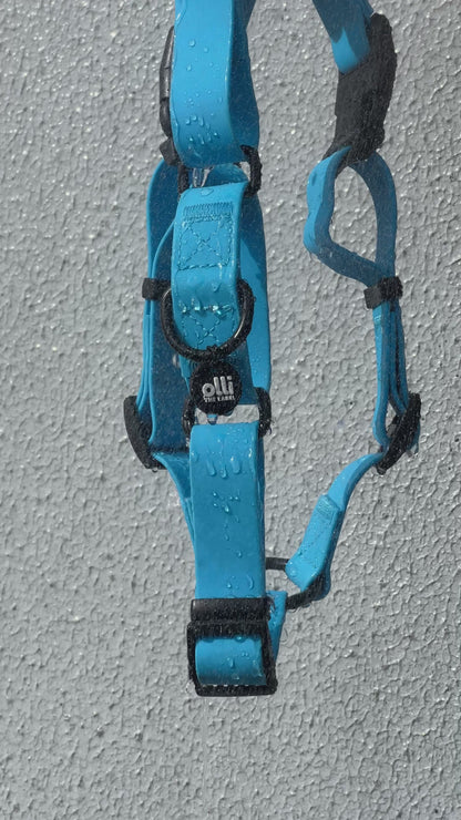 Beach Day Set - Lead + Harness Bundle - Olli Blue