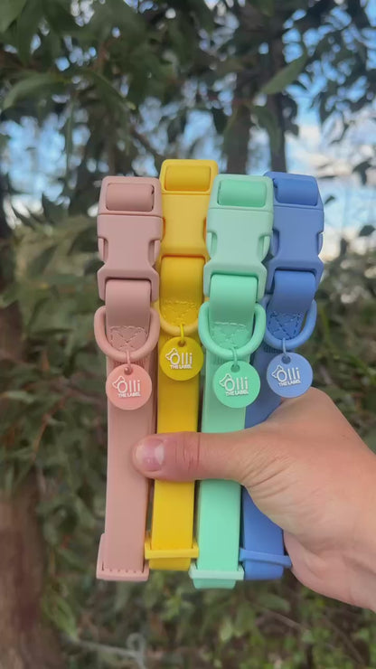Waterproof Dog Collar – Mango Yellow