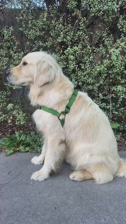 Waterproof Dog Harness and Lead Set – Camo Green