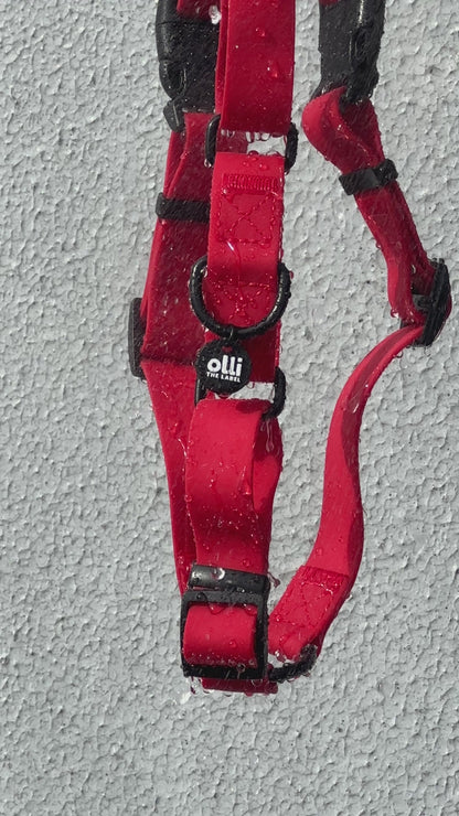 Beach Day Set - Lead + Harness Bundle - Candy Red