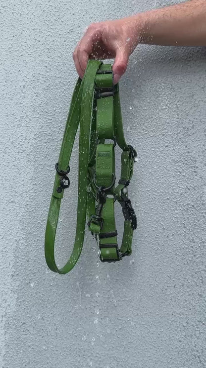 Lead + Harness Bundle- Camo Green