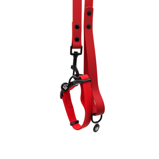 Waterproof Dog Lead and Collar Set – Candy Red